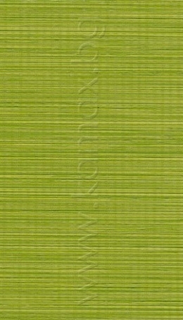 Цвят Djuno 974139